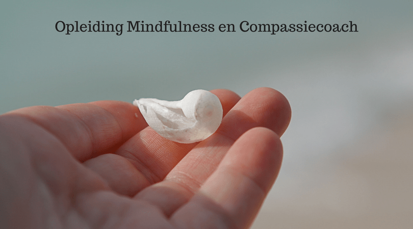 Mindfulness basishoudingen kwaliteiten