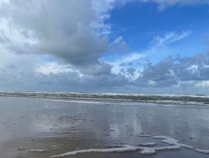 welke opleiding systemisch coach past mij